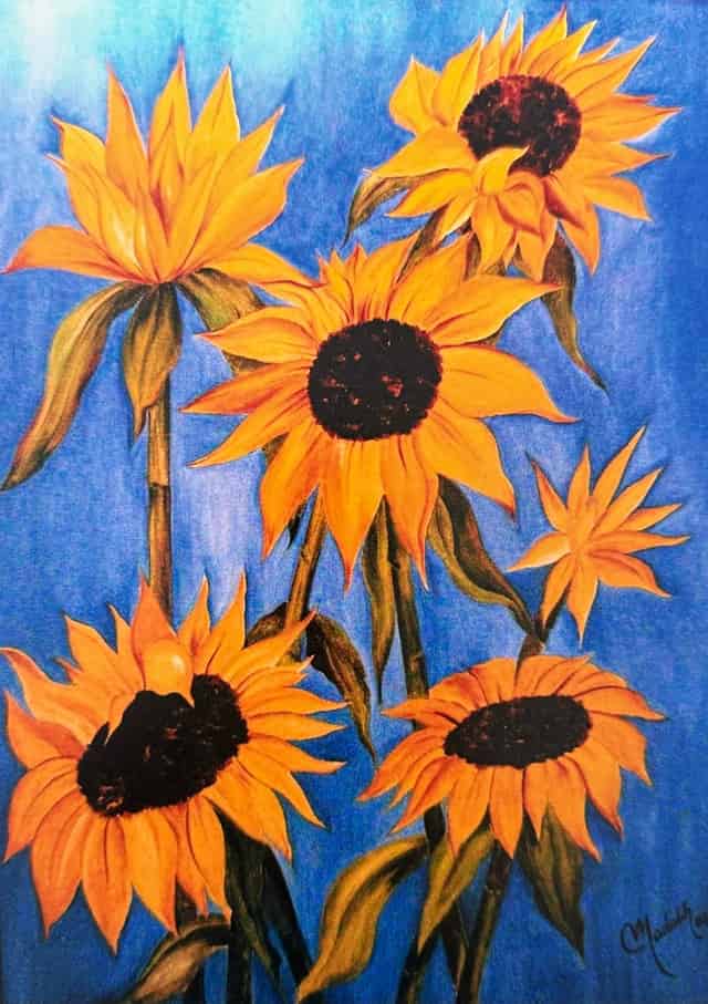 Girasoles